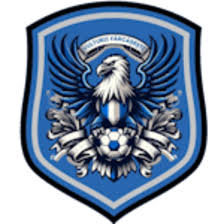 https://img.qdhuiren.com/img/football/team/09bb5b9732bc080d522c37e74ce70004.png