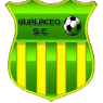 https://img.qdhuiren.com/img/football/team/3dfa700c1f084e5a18fc926d6f7ae427.png