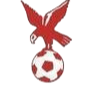 https://img.qdhuiren.com/img/football/team/4802d26df935b78bb2fcdbbff36e8864.png