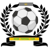 https://img.qdhuiren.com/img/football/team/6dc6d59af2f0962597b412473a6708ee.png